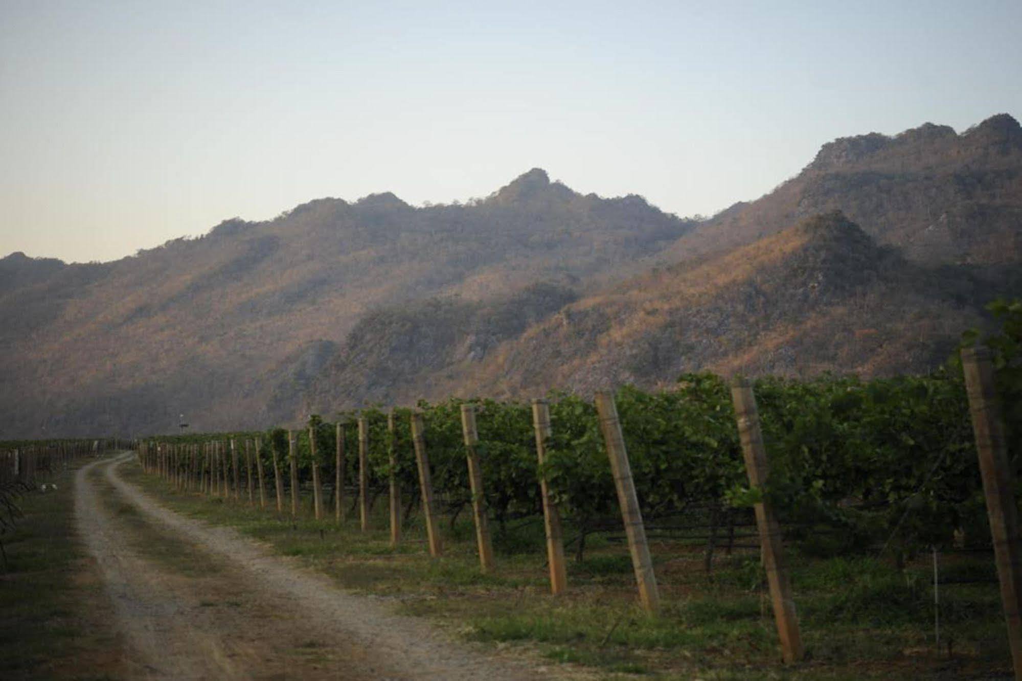 Granmonte Wine Cottage Phayayen Exterior foto